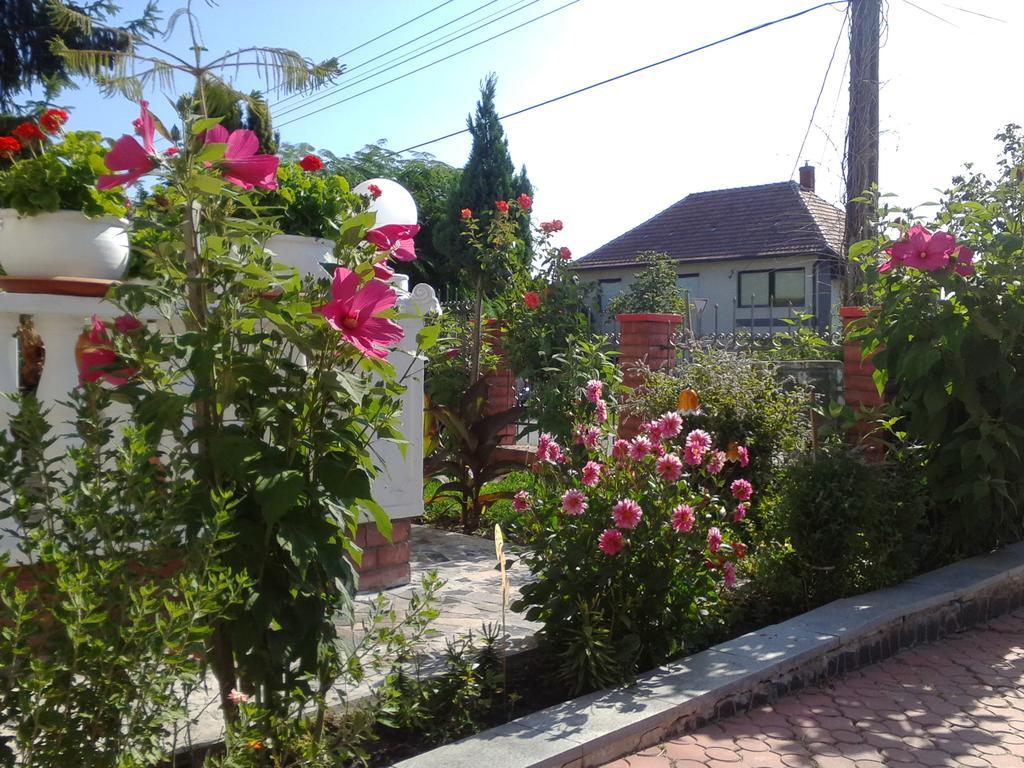 Kristaly Apartman Bed & Breakfast Heviz Exterior photo